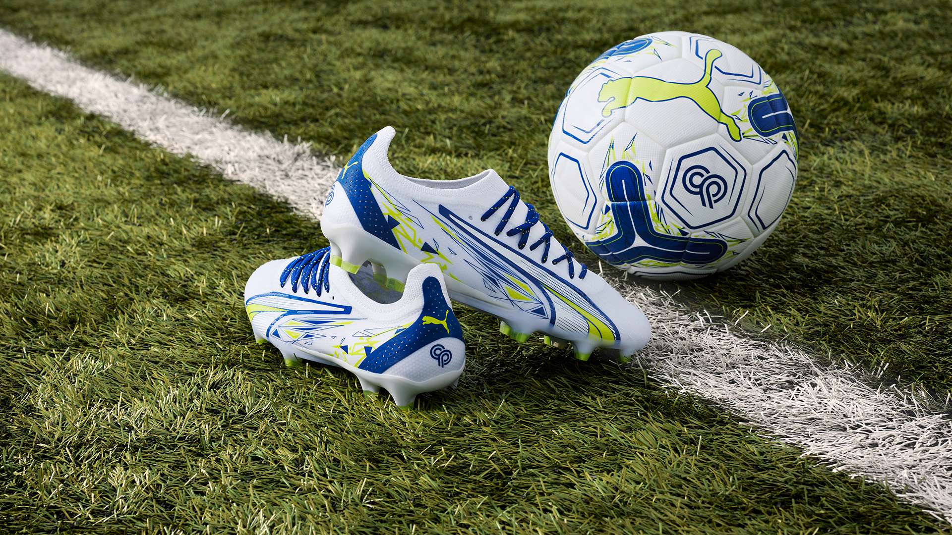 展现出灵活 展现出灵活